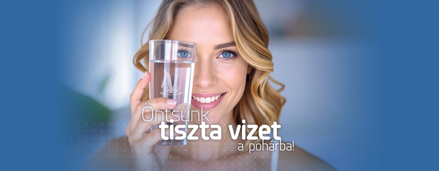 Bertranszparencia_NEXON